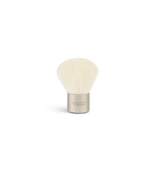 Kabuki Brush